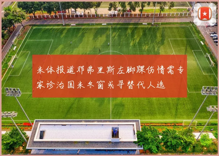 米体报道邓弗里斯左脚踝伤情需专家诊治国米冬窗或寻替代人选