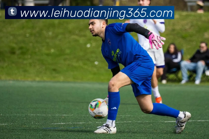 雷火电竞APP 封面图